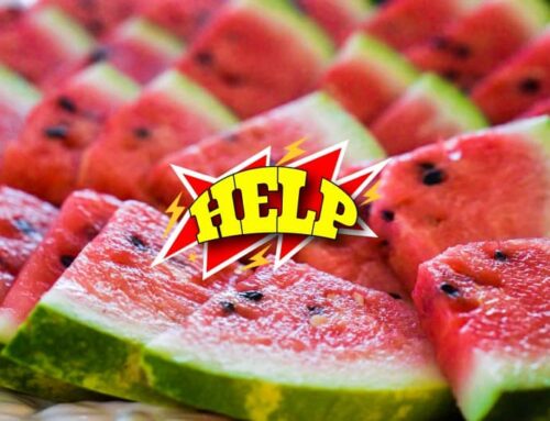 Watermelon Benefits And Recipes